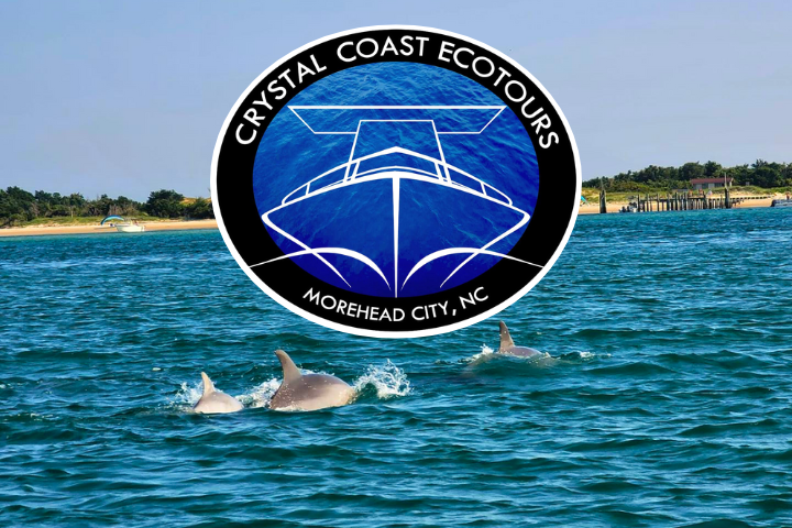 Things To Do Crystal Coast Eco Tours